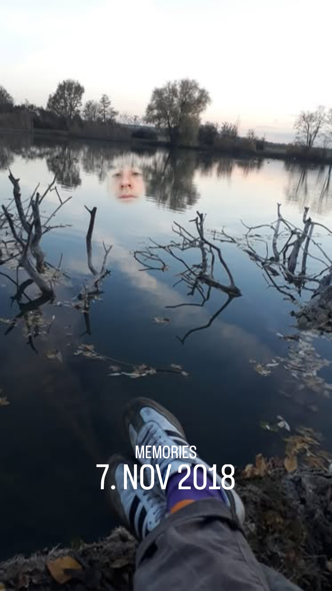 Archive media