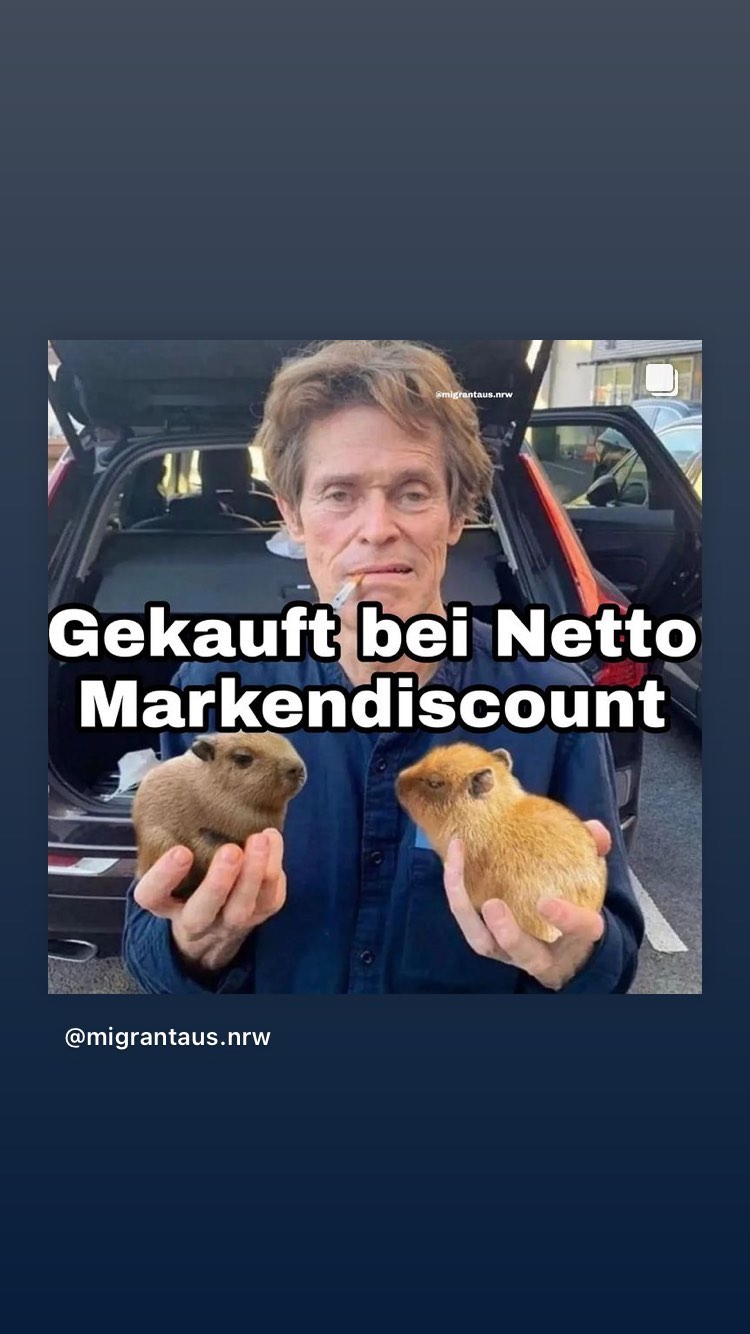 Archive media