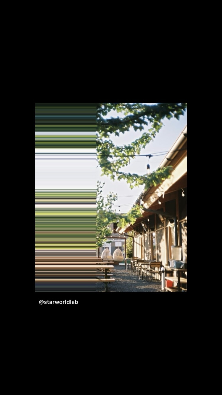 Archive media