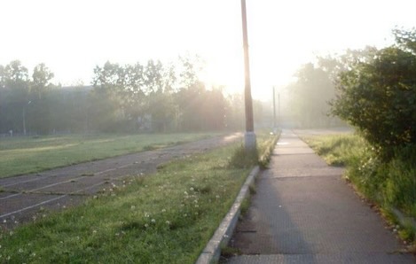 Archive media