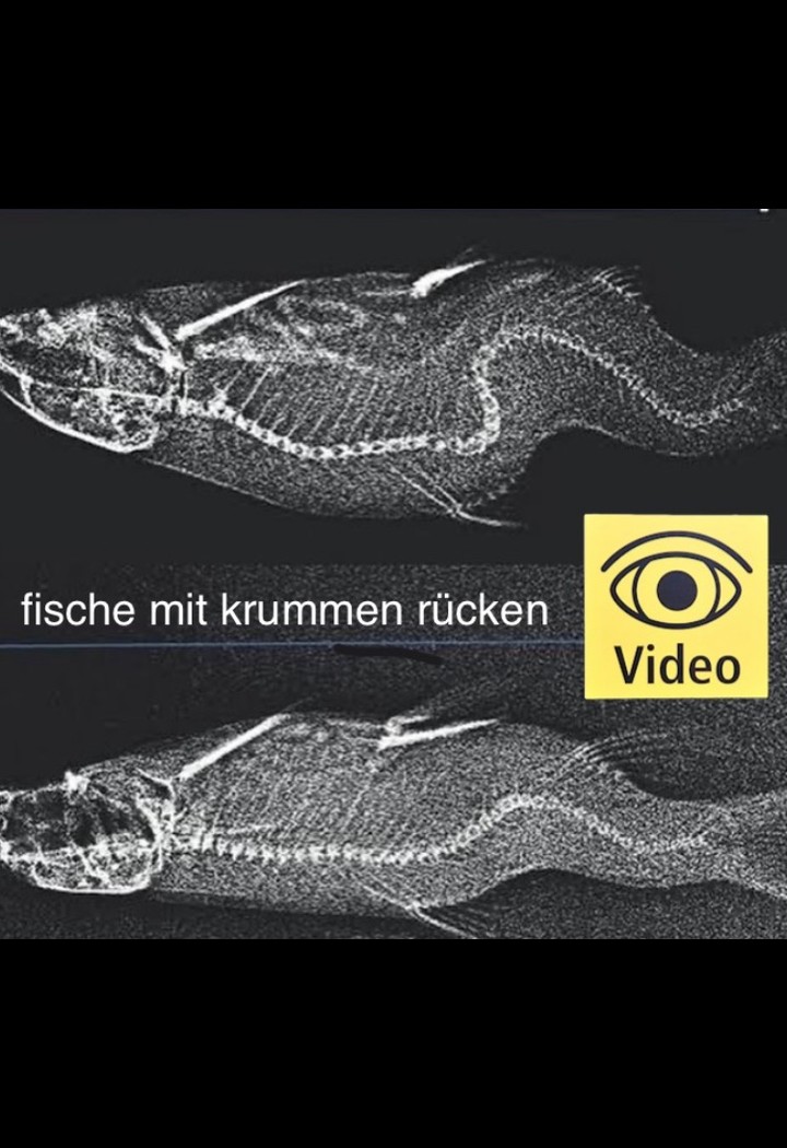 Archive media