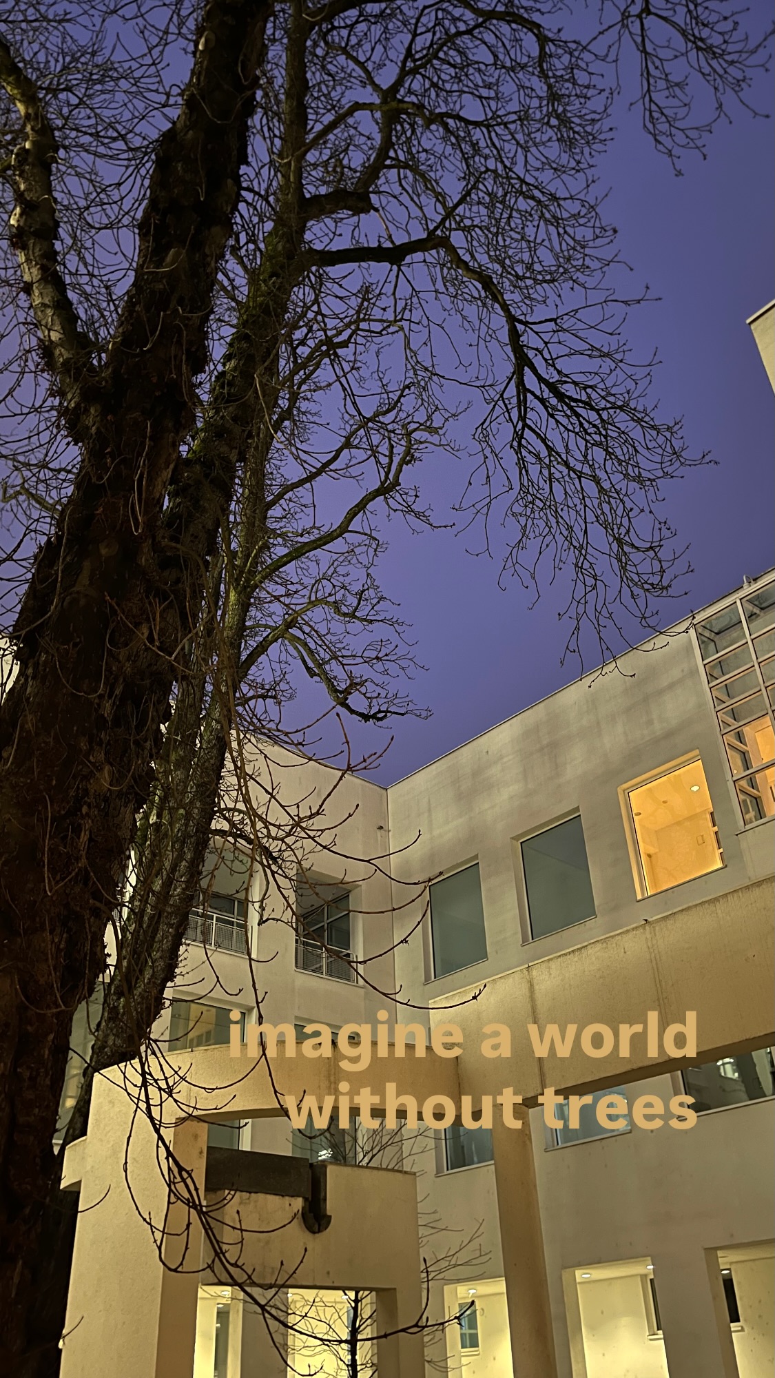 Archive media