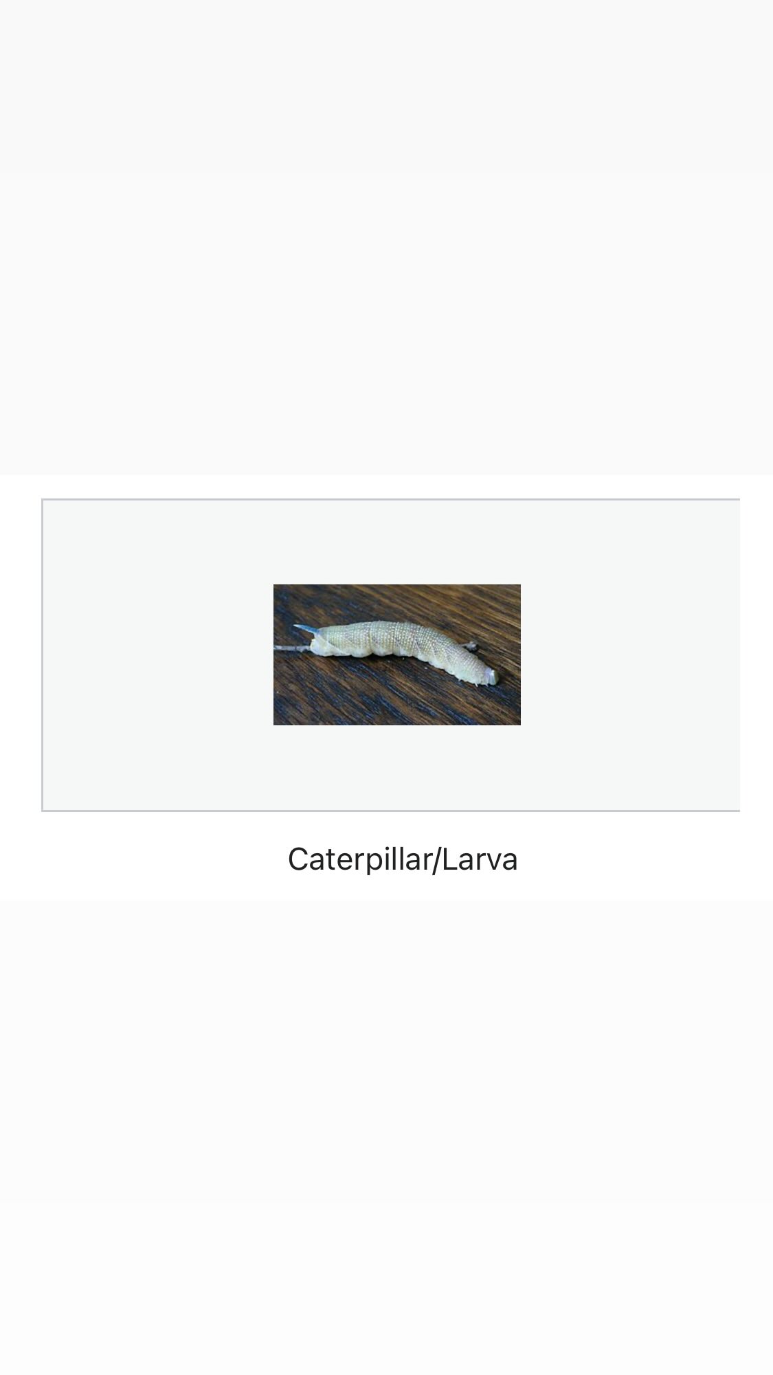 Archive media