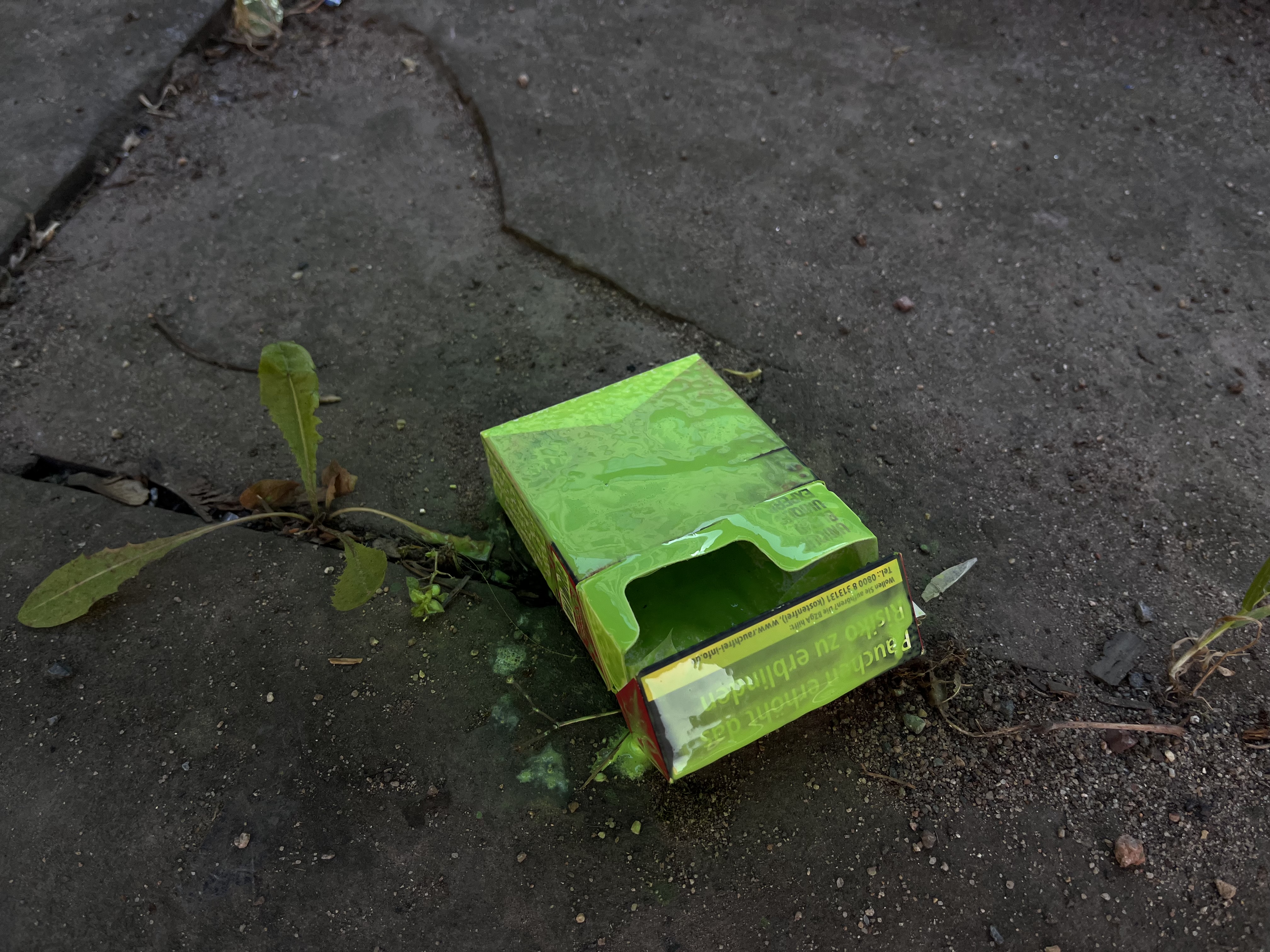 Archive media