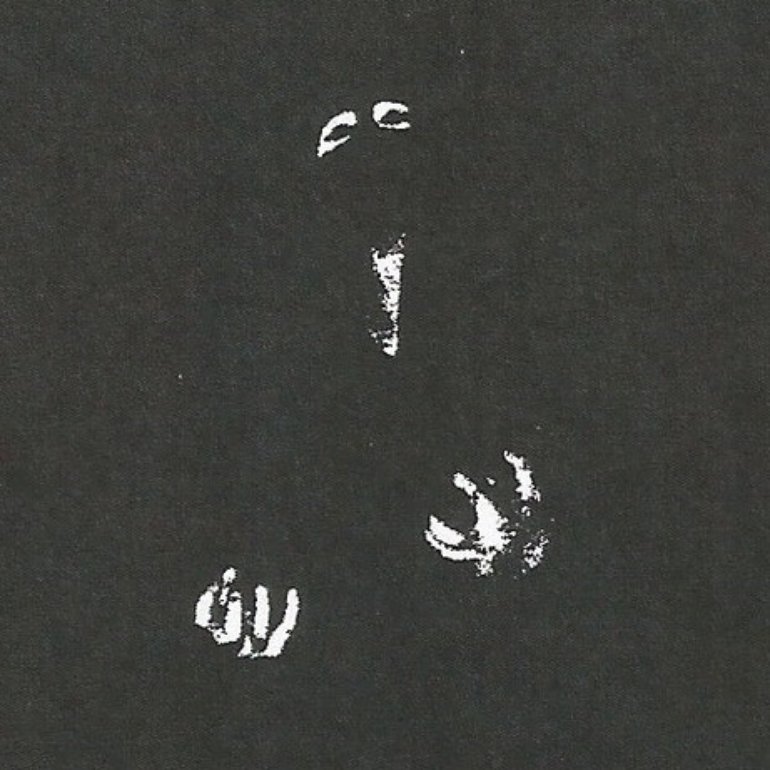 Archive media