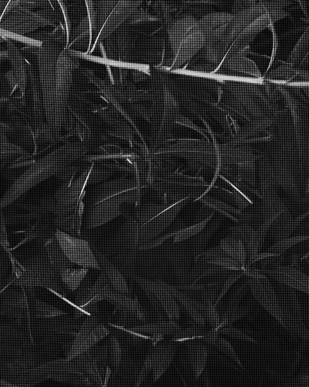 Archive media