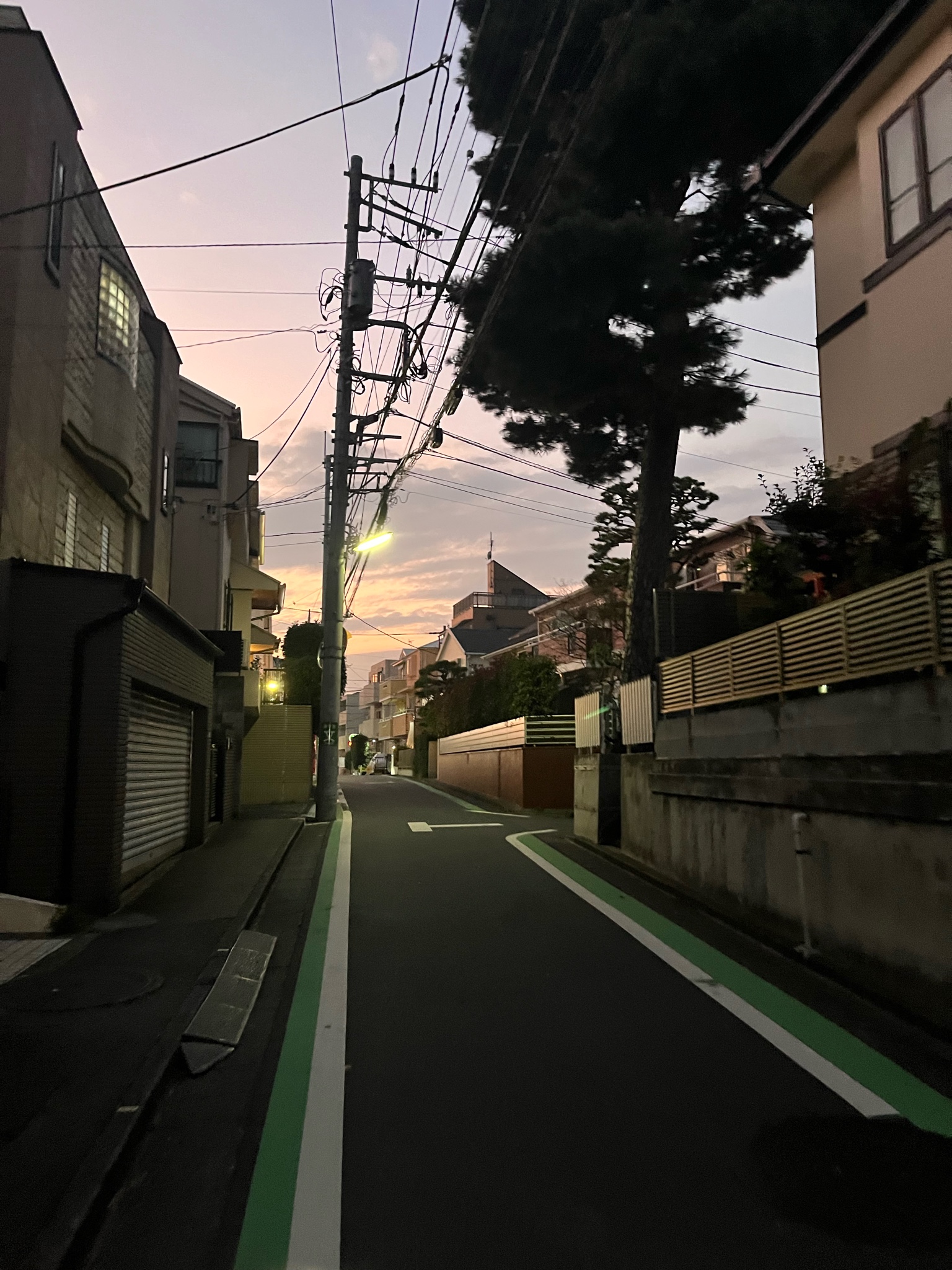 Archive media
