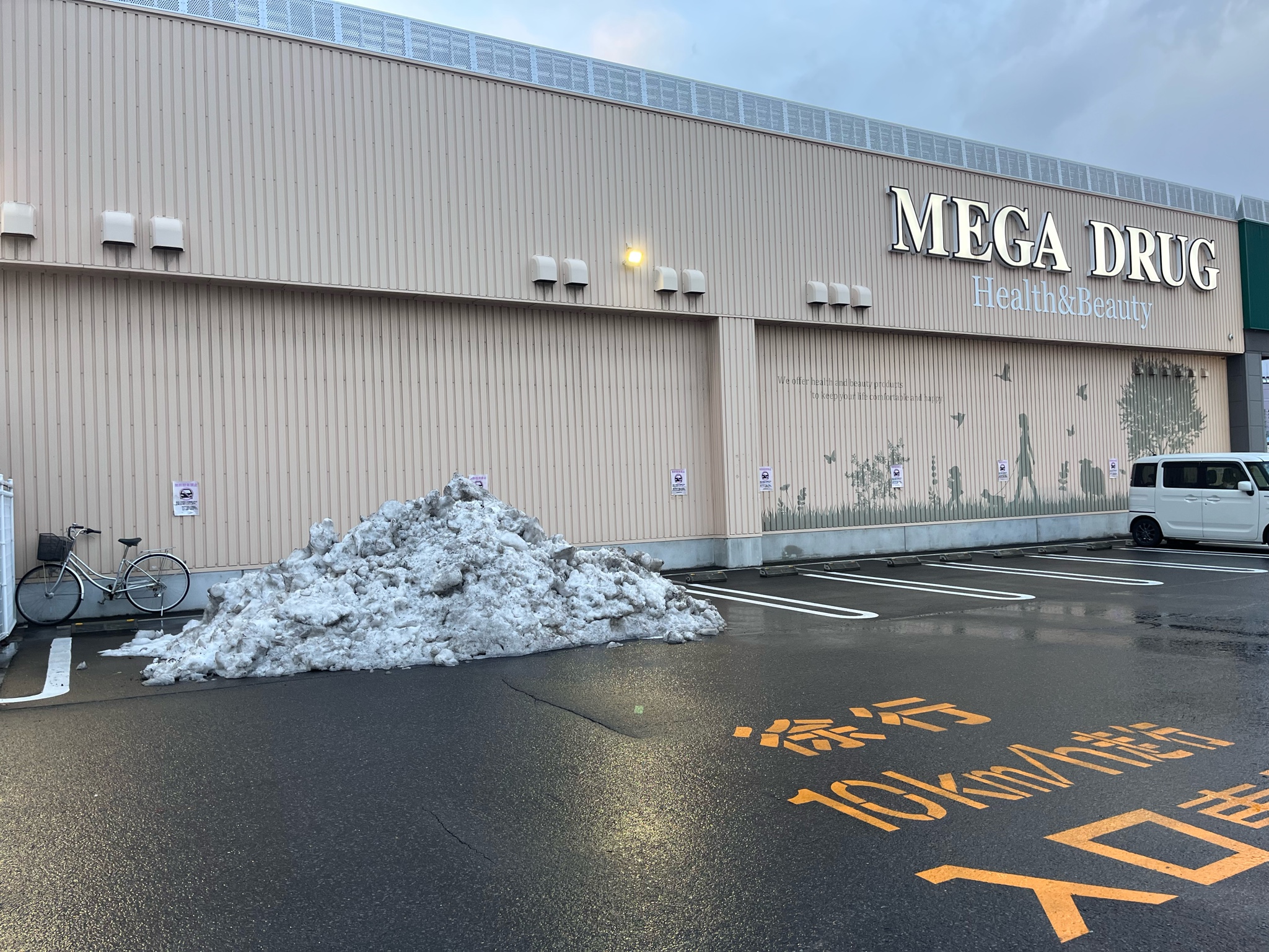 Archive media