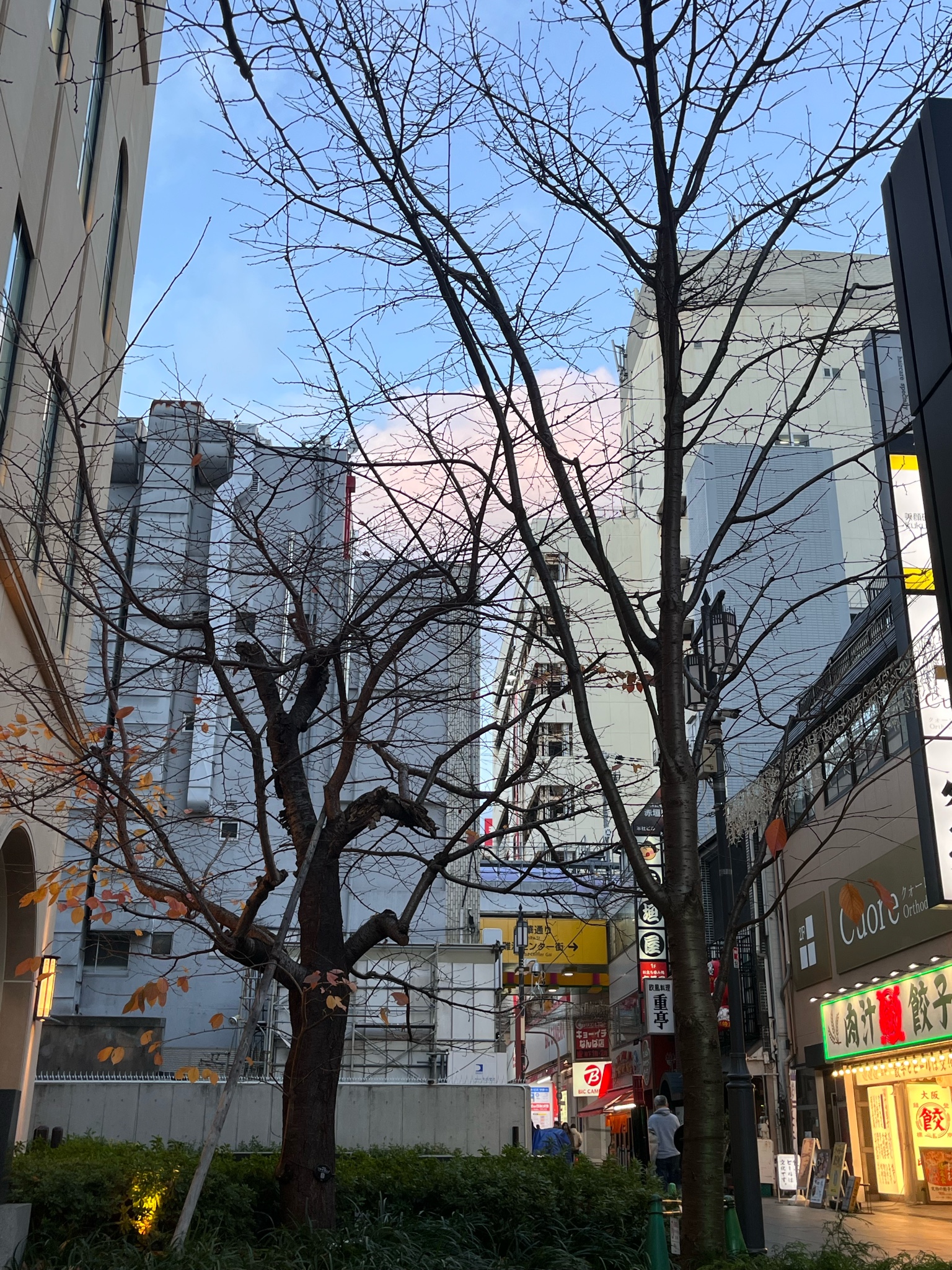 Archive media