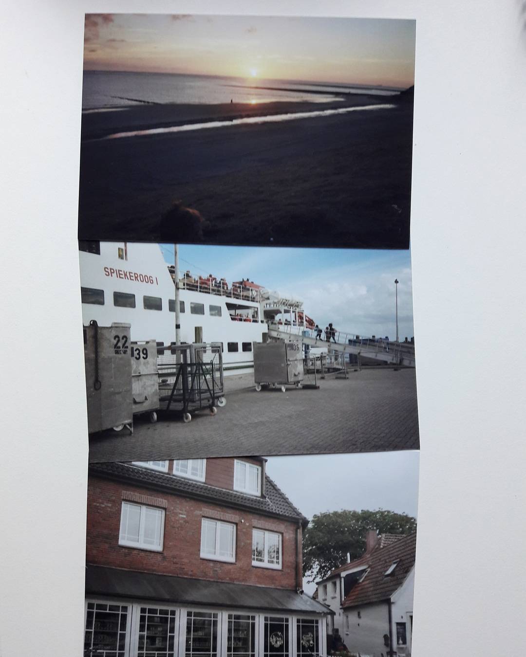 Archive media
