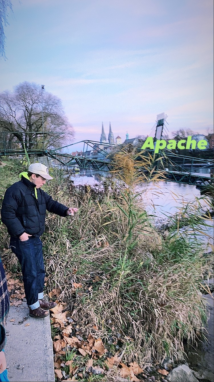 Archive media